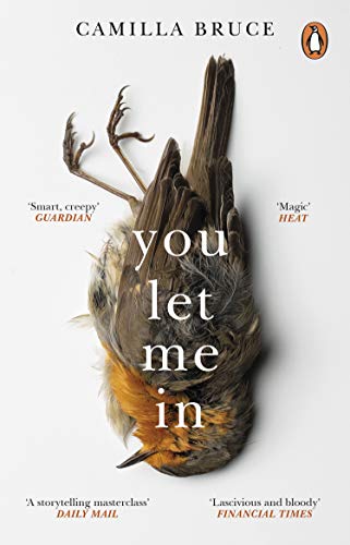 You Let Me In: The acclaimed, unsettling novel of haunted love, revenge and the nature of truth von Penguin